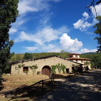Fattoria la Vialla