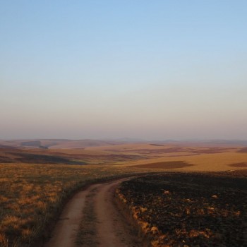 nyika plateau 