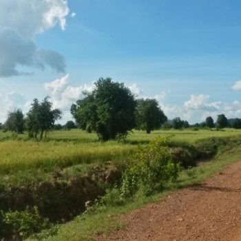 On the road