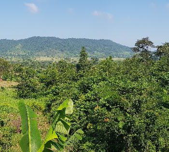 Volta area...vanuit mn kamer