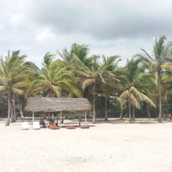 Paardrijden op de mooiste stranden