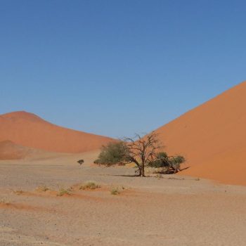 de pracht onderweg naar sossusvlei