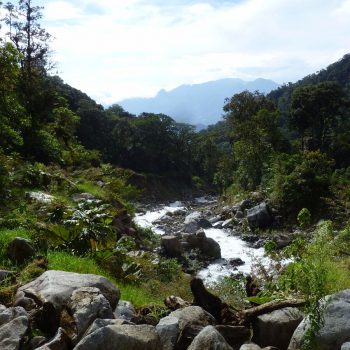 Rivier in Boquete