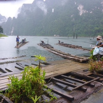 De route door het nationale park van khao sok