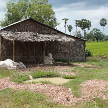 Countryside Kampot
