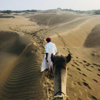 Kamelen tocht bij de woestijn van Jaisalmer