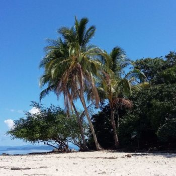Isla coiba 