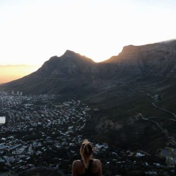 Lions head