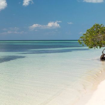 Het strand van Cayo Jutias