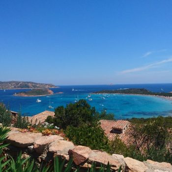 Capo coda cavallo