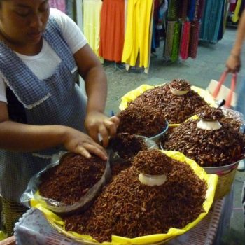Chapulines