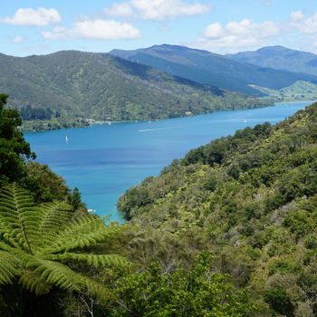 Queen Charlotte track