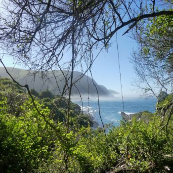 Waterfall Trail, Tsitsikamma N.P.