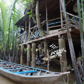 Mekong delta