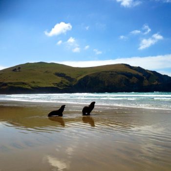The Catlins