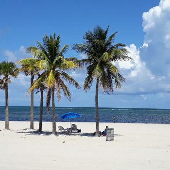Biscayne bay