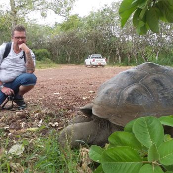 reuzeschildpadden op de Galapagos