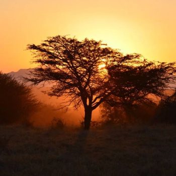 Zonsondergang in Kruger National Park