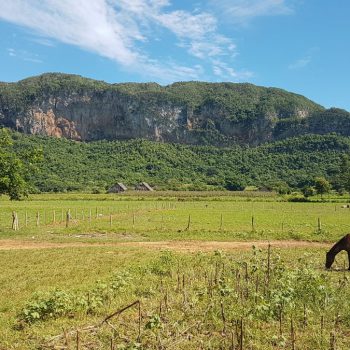 Viñales vallei, kalksteengrotten, tabaksplantages, lekker eten.
