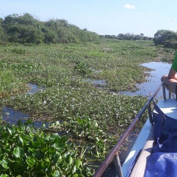 Boottocht naar Siem Reap