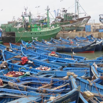 de prachtige blauwe vissersbootjes