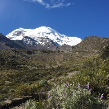 Chimborazo
