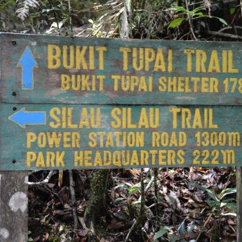 een eenvoudige trail (haha)