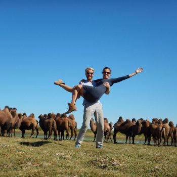 Tussen de vele kamelen in Mongolië