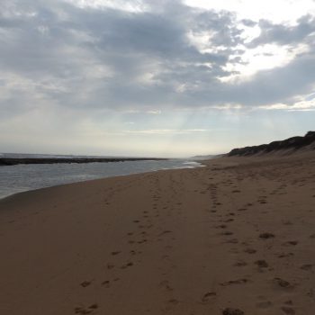 Zona braza