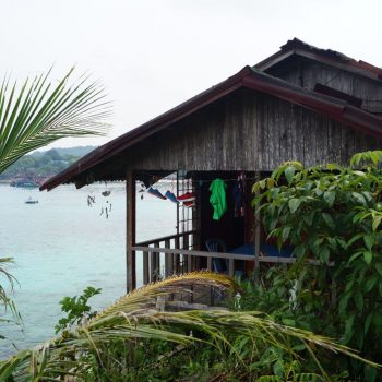 Butterfly hostel