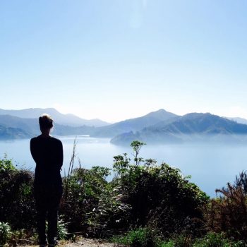 Queen Charlotte Drive - Picton - Nieuw-Zeeland