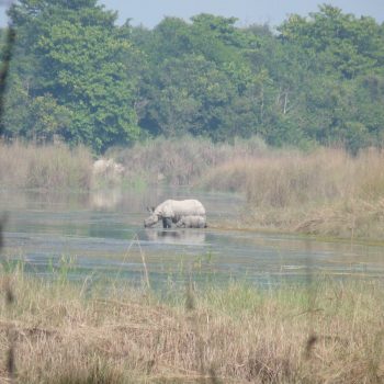Bardia NP