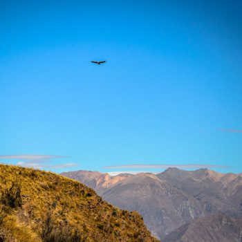 Colca Canyon