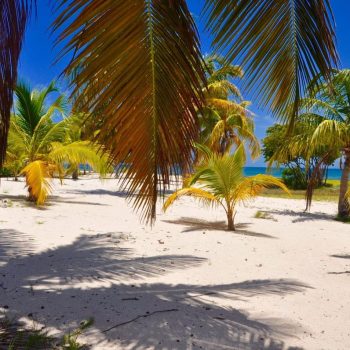 Paradise