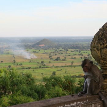 battambang, bat cave
