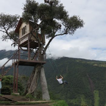 casa del arbol