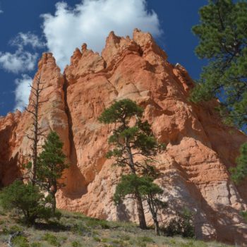 Bryce Canyon 