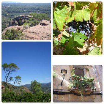 Wijnroute Priorat 