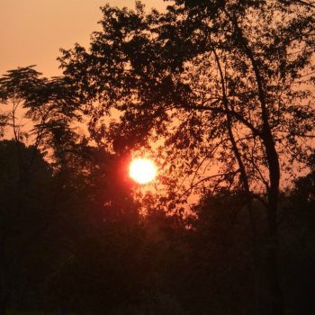 Zonsondergang Chitwan