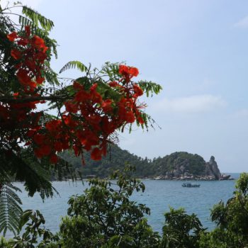 Koh Tao