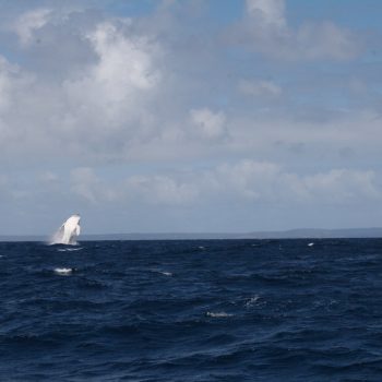 Cape Leeuwin