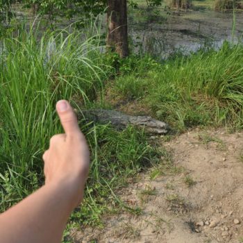 Chitwan NP