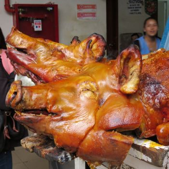Varkens om stukje van te eten, soort foodhal