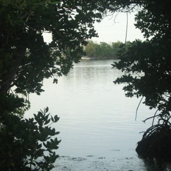 Sugarloaf Key