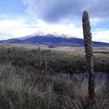 Cotopaxi