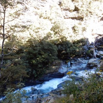 Wandeling naar de gletsjer (Rob Roy's)
