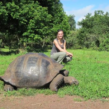Reuze schildpadden op de Galapagos eilanden