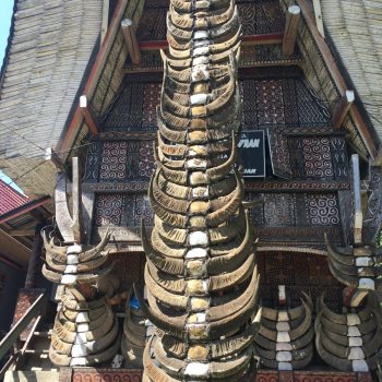 De hoorns van geofferde buffels 