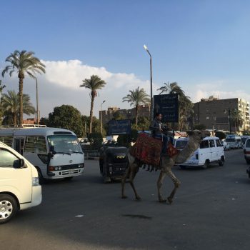 Ook dit kan in Egypte