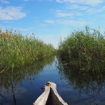 Het spiegelgladde water van de Okavango Delta